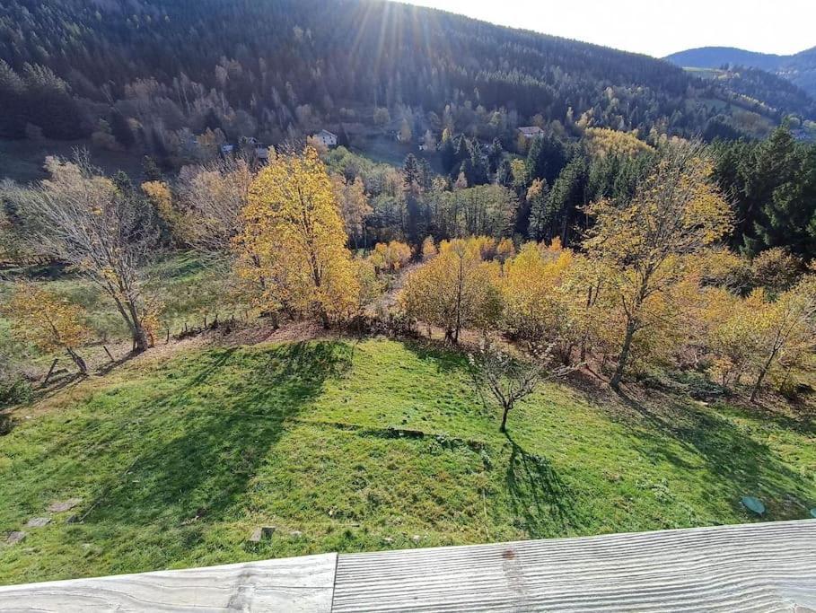 Maison De Montagne Vue Magnifique Вантрон Экстерьер фото