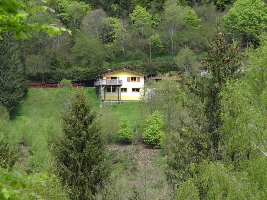 Maison De Montagne Vue Magnifique Вантрон Экстерьер фото