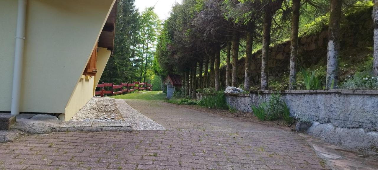 Maison De Montagne Vue Magnifique Вантрон Экстерьер фото